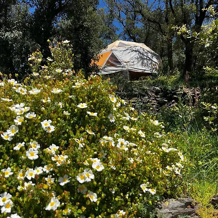Les Domes Luxe A La Riviere * Prémian